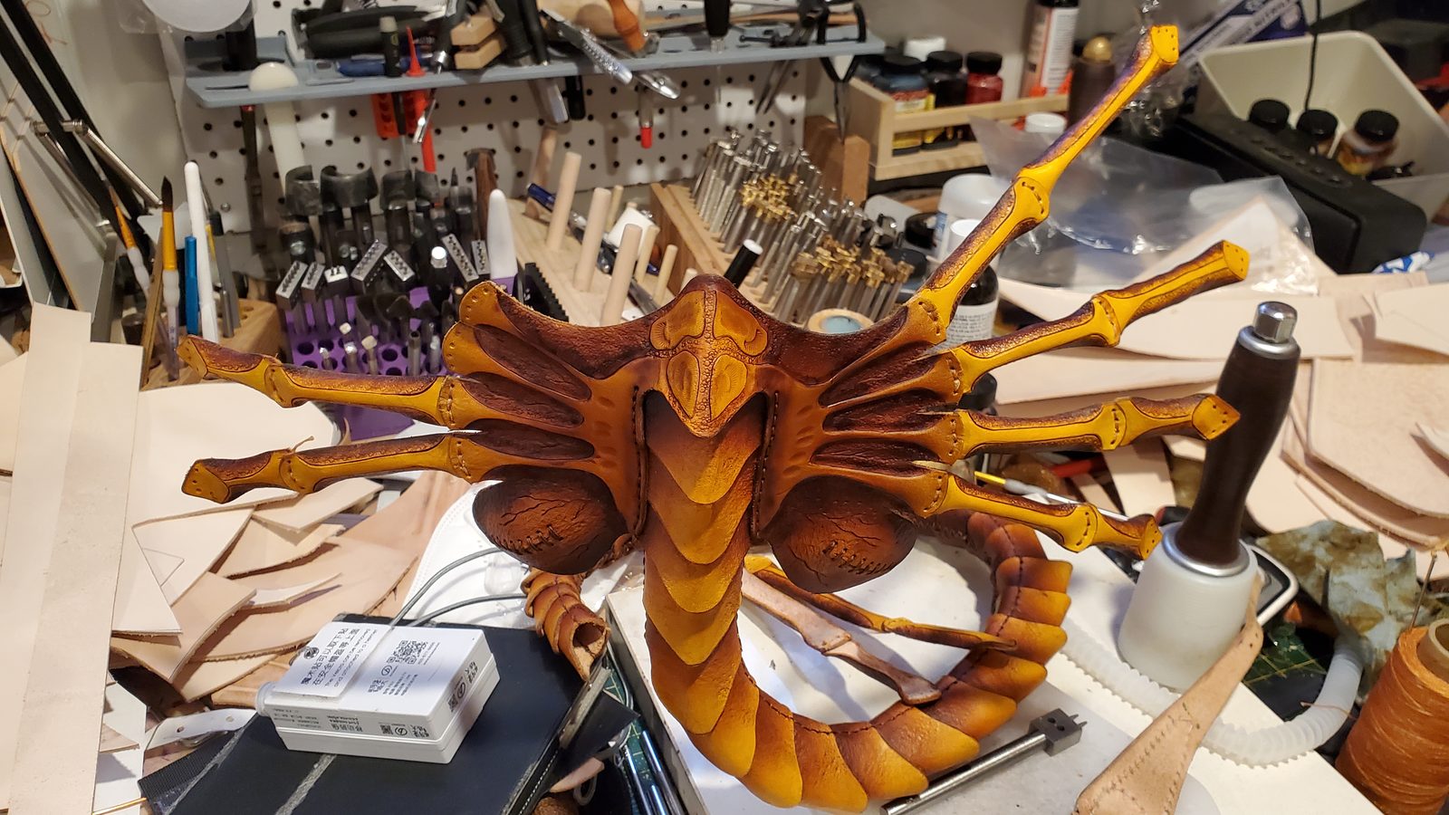 Facehugger side