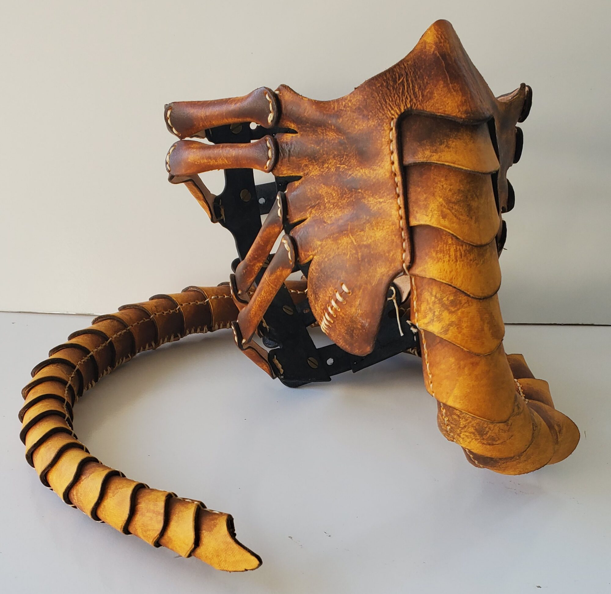 image from Facehugger mask