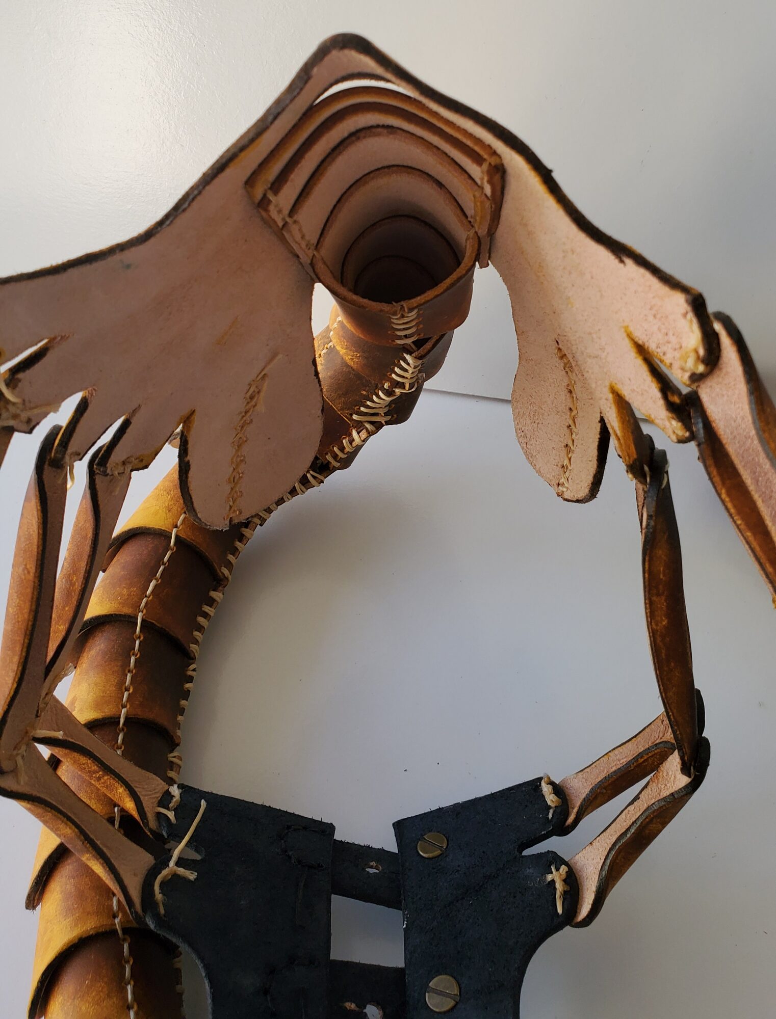 Facehugger inside